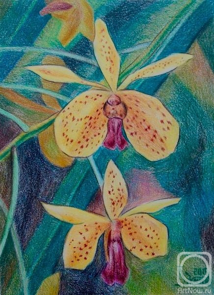 Lukaneva Larissa. Yellow Orchids