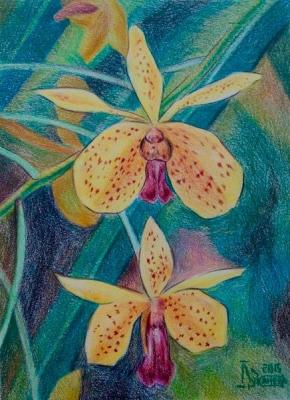 Yellow Orchids. Lukaneva Larissa