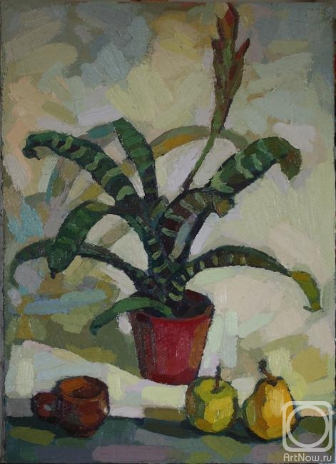 ������� ������ �� ������. �������� ������. ��������� � ���������