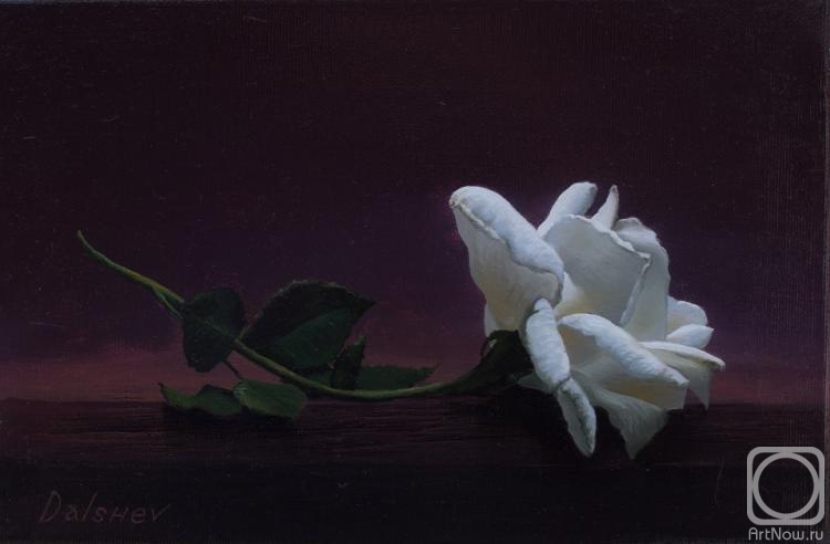 Dalshev Aleksey. Untitled