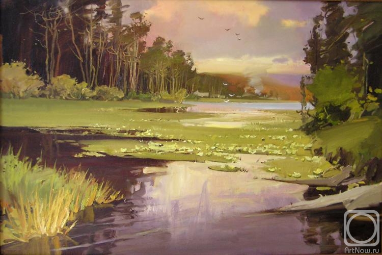 Kosivtsov Dmitriy. Forest lake