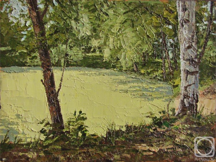 Evgrafov Sergey. Overgrown pond