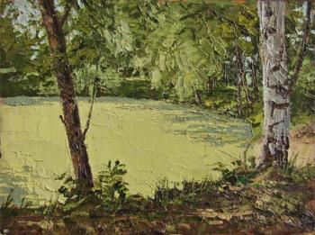 Overgrown pond. Evgrafov Sergey