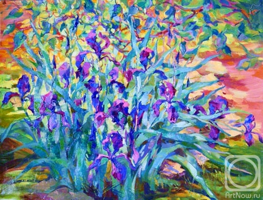 Mirgorod Igor. Irises. Blue flame