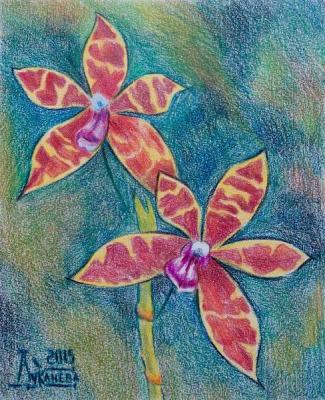 ����������. �������� ������