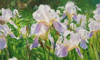Irises ( ). Zhaldak Edward