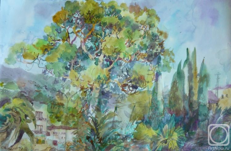 �������. ����������� ������. ��������