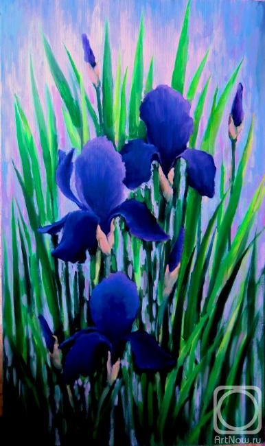 Orlov Andrey. Irises
