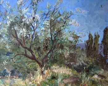 Wild Olive (etude). Avrin Aleksandr