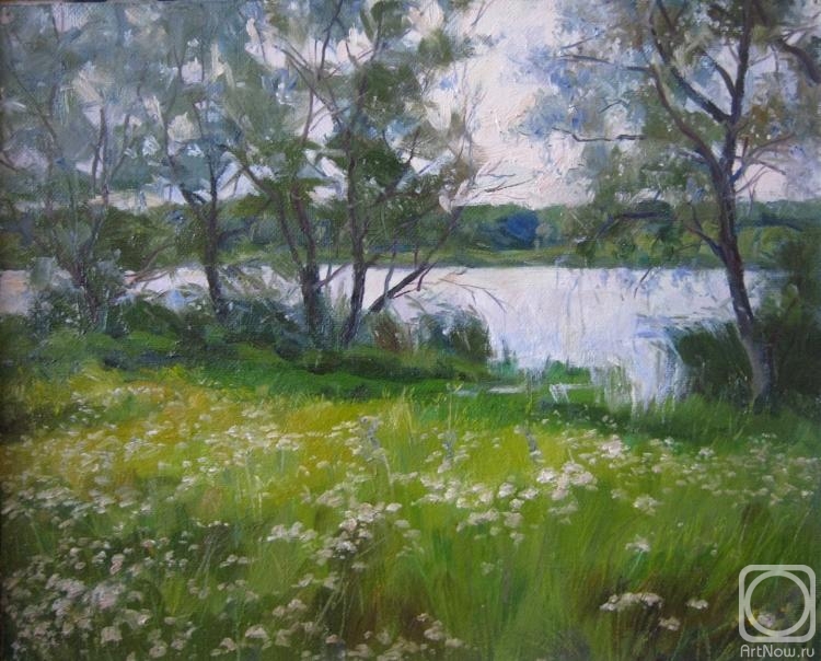 Voronov Vladimir. Ashore