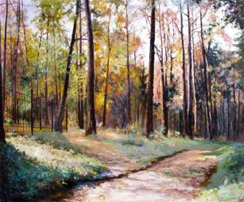 Avrin Aleksandr Leonidovich. Along the autumn paths