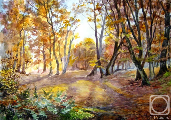 Avrin Aleksandr. Colors of autumn