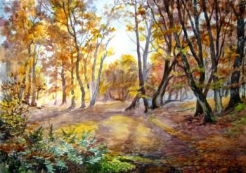 Colors of autumn. Avrin Aleksandr