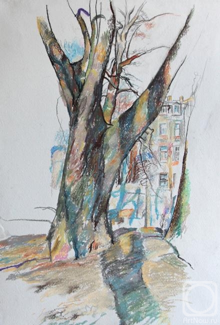 Stroganov Leonid. Spring tree in the city