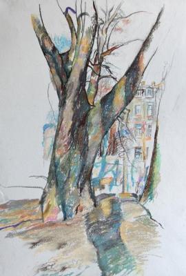 Spring tree in the city. Stroganov Leonid