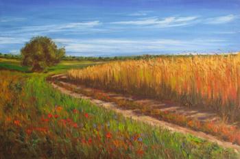 ������� ������� � ����