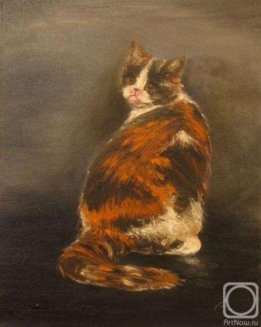 ������� ������ �� ������. �������� ������. �����