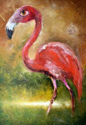 Constellation Flamingo