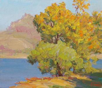 Warm Light. Panov Igor