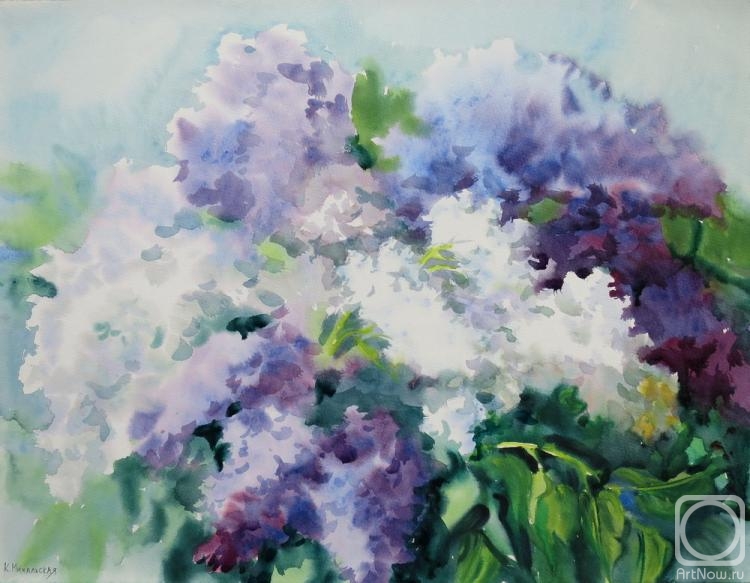 �������. ���������� ���������. ������ ����