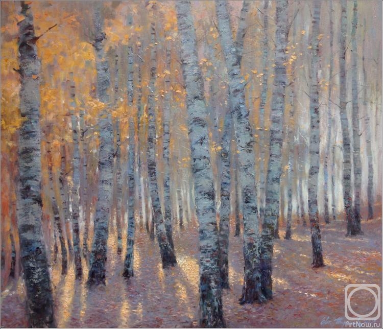 Terekhov Evgeny. Gray birches