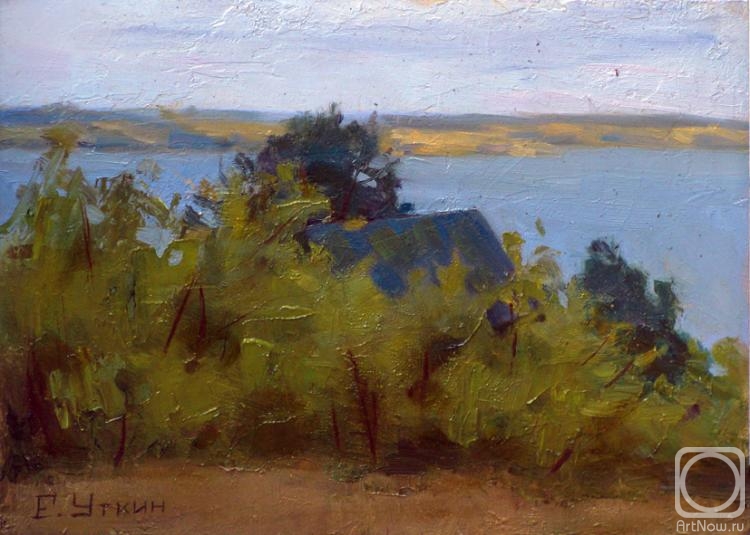 Utkin Eugeny. View of the Volga