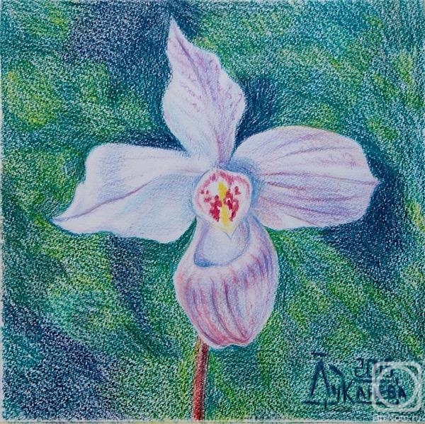 �������. �������� ������. ������� �������� 4