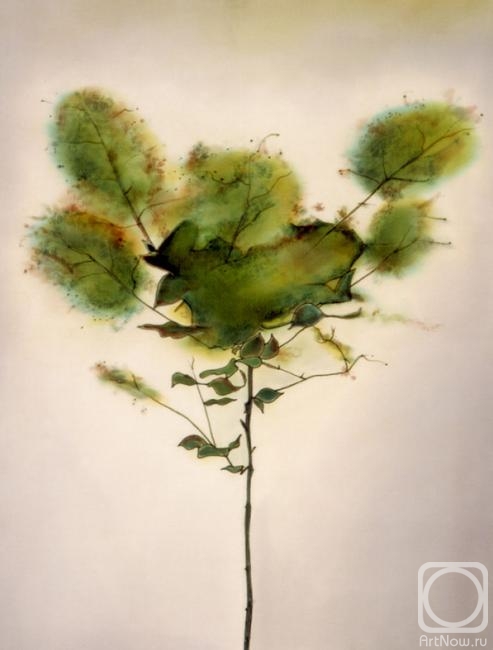 ������ �����. ��������