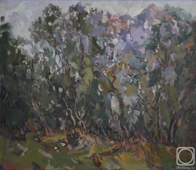 ������� ������ �� ������. ������� ���������. ���� �� ������� ������