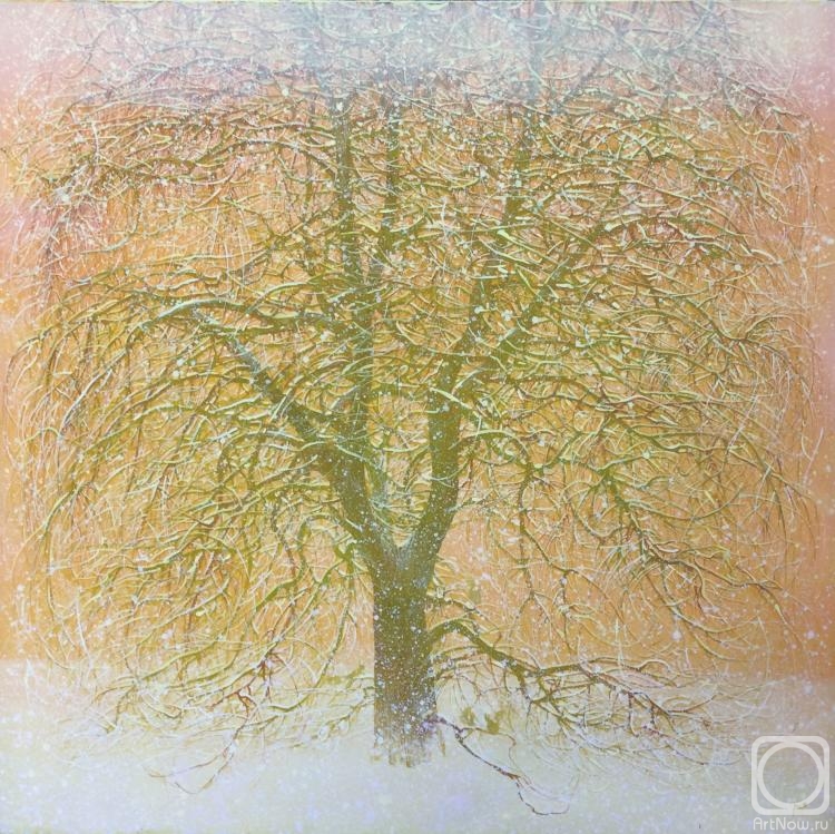 �������. ������� ����. �����������