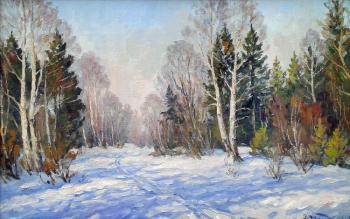 Ski in the winter woods. Fedorenkov Yury