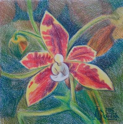 ������� ����������� 3�