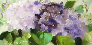 ������� �������