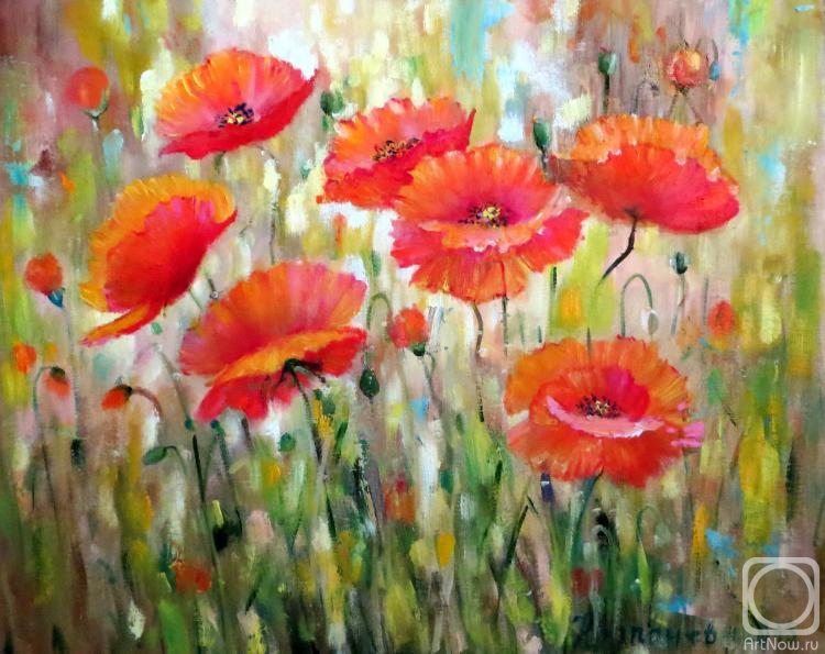 �������. ��������� �����. �����