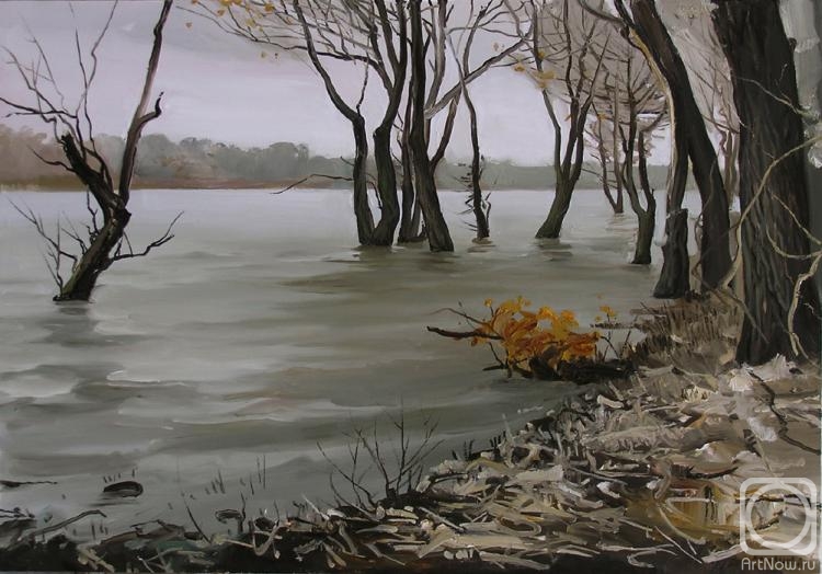 Kosivtsov Dmitriy. Flood of the river