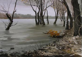 Flood of the river. Kosivtsov Dmitriy
