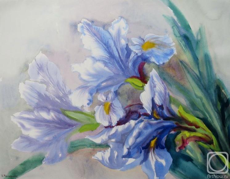 �������. ���������� ���������. ������� ���