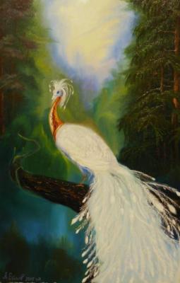 White peacock. Ribakov Aleksey