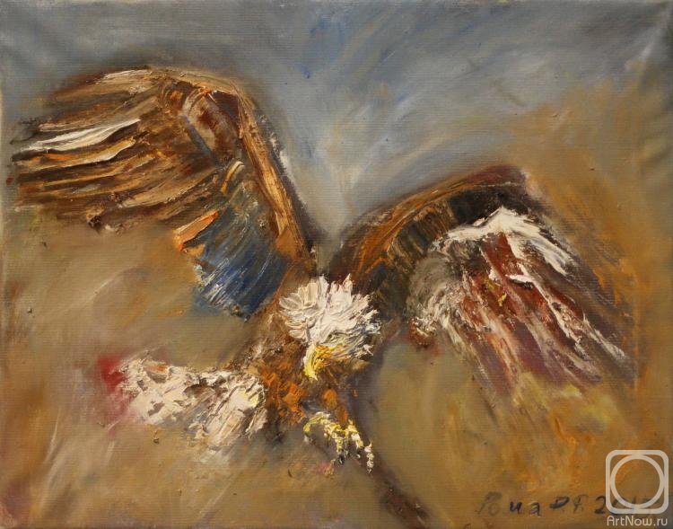 Rakhmatulin Roman. Bald eagle