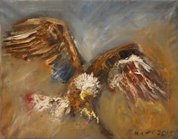 Bald eagle. Rakhmatulin Roman