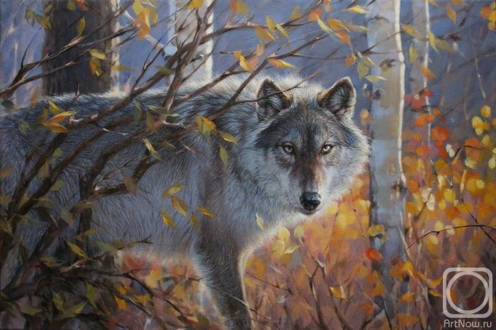 Medvedkin Evgeniy. Wolf. Autumn