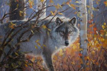 Wolf. Autumn. Medvedkin Evgeniy