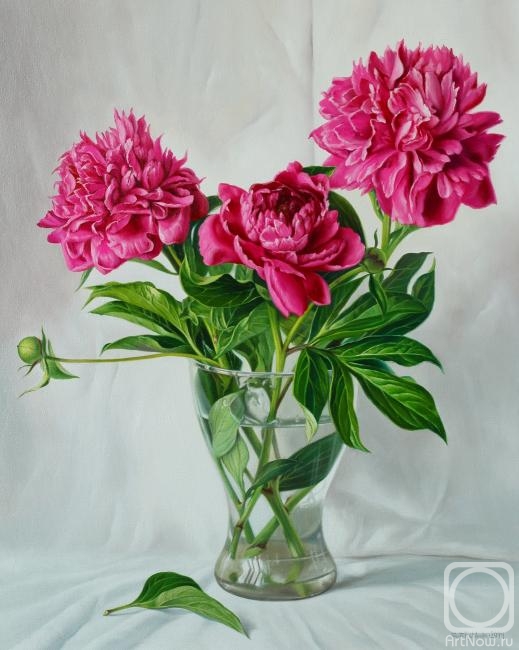 ������� ������ �� ������. ������ ������. �����