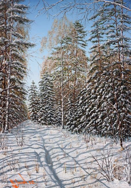 Lysov Yuriy. Winter wood