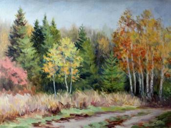 Autumn in the forest. Norenko Anastasya