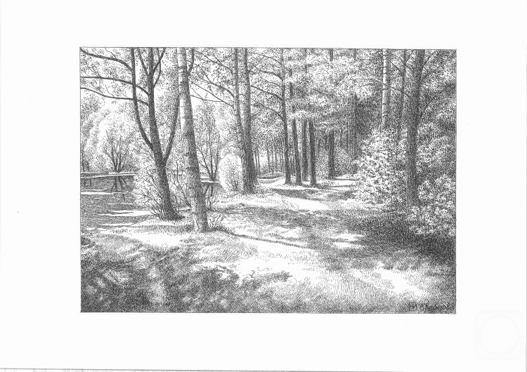 Evlanova Irina. Forest Light