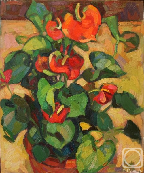 Kreynina Marina. Domestic animal blooming red