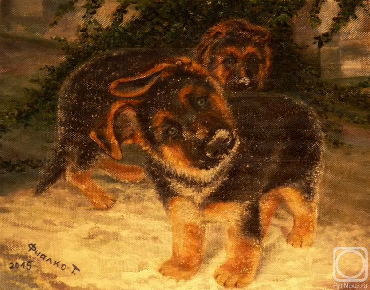 �������. ������ �������. ������ ����