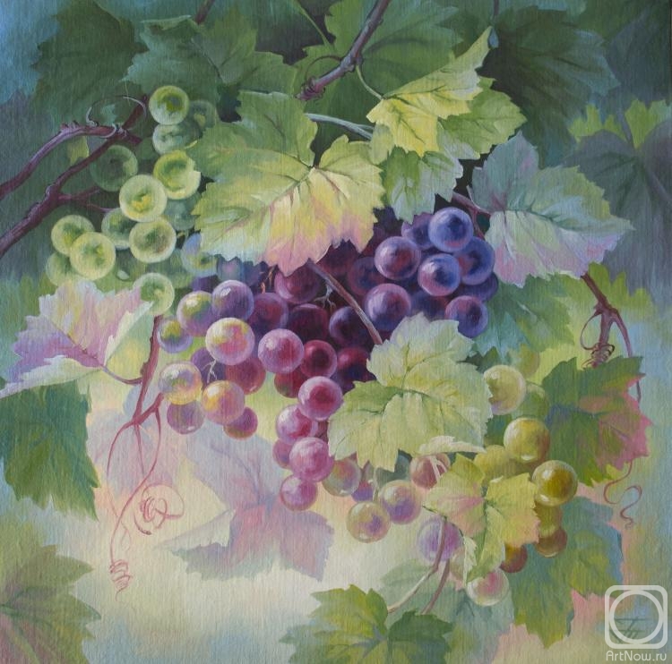 Gorbatenkaia Tatiana. Grapes