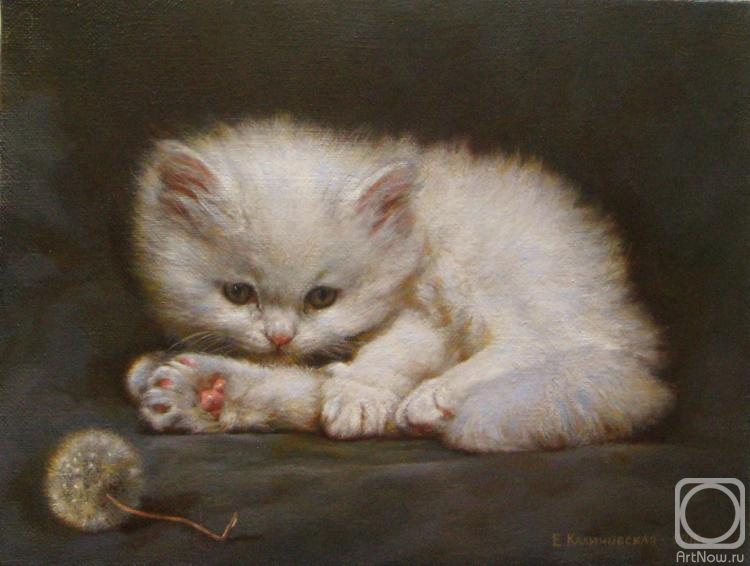 ������� ������ �� ������. ����������� ���������. ���������